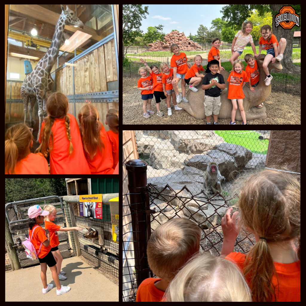 zoo